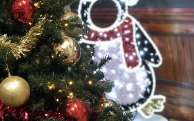 Things to do in Camborne this December